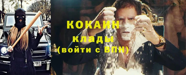 шишки Сатка
