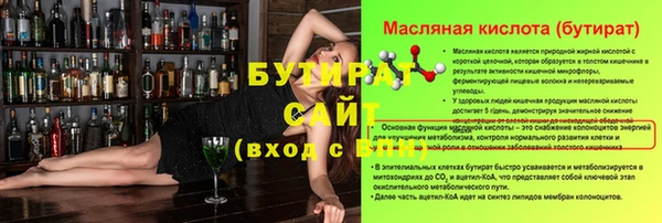 шишки Сатка